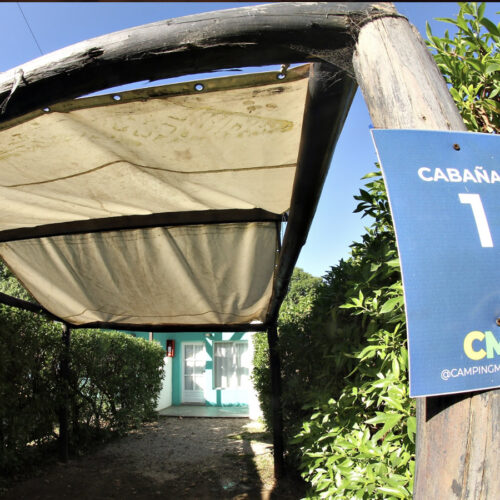 camas4
