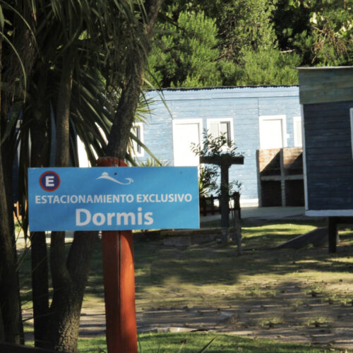 dormis1